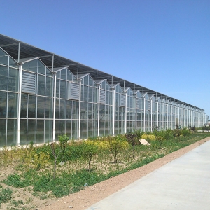 玻璃温室大棚公司