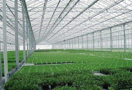 河南温室骨架公司告诉您怎么种植大棚蔬菜收益好的技巧