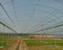 怎么控制蔬菜温室大棚的湿度呢？