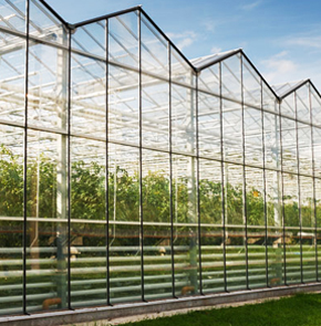 怎么打造现代化农业温室大棚呢？